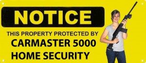 Carmaster 5000 Home Security